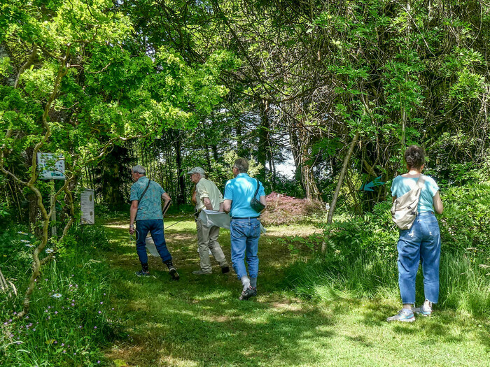 Visite de l'arboretum