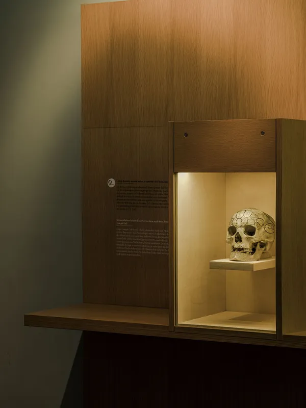 Des intrus au Musée