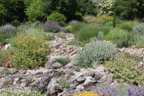 Visite guidée du jardin