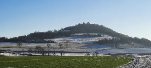 Visite guidée de la colline historique de Vergy