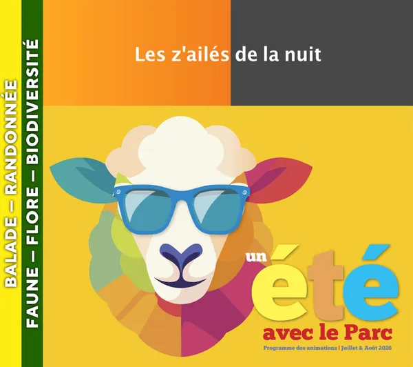 CÉVENNES - Les z'ailés de la nuit