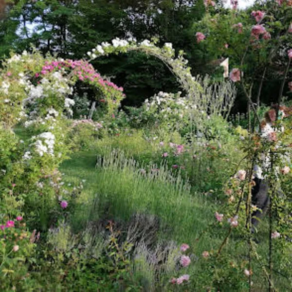 Visite libre du Parc et du Jardin de l'Abbaye de Bèze