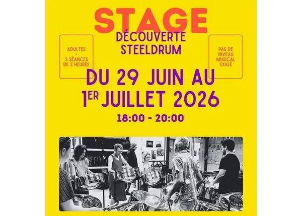 Stage de découverte du steeldrum