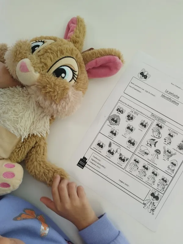 Peluchologie - Qui es-tu, mon doudou ?