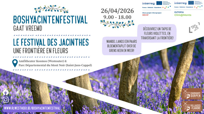 Festival de la jacinthe - une frontière en fleur