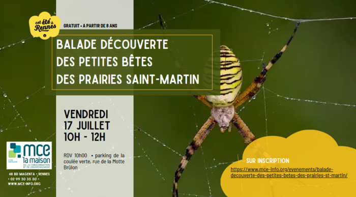 Balade découverte des petites bêtes des prairies Saint-Martin