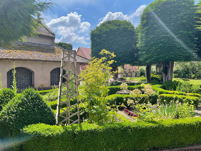 Découverte d'un Jardin médiéval