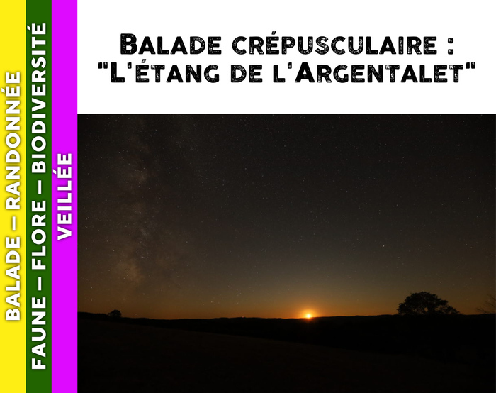 MORVAN - Balade crépusculaire : l’étang de l’Argentalet