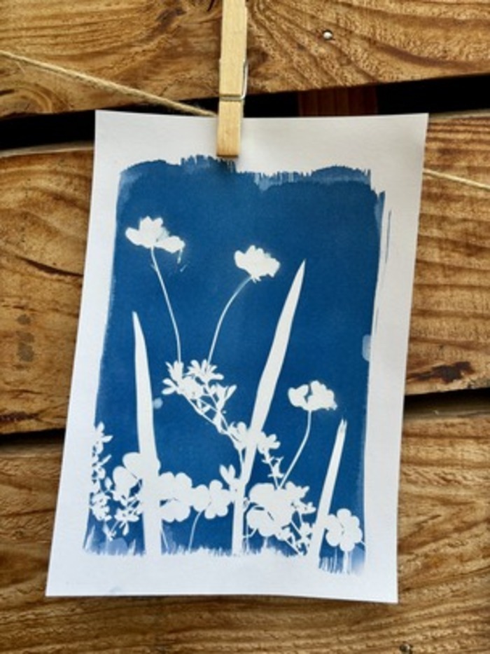 Atelier cyanotype