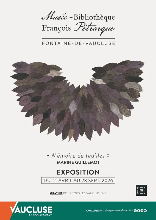 Rencontre avec l'artiste : Marine Guillemot nous parle de l'exposition Mémoire de feuilles