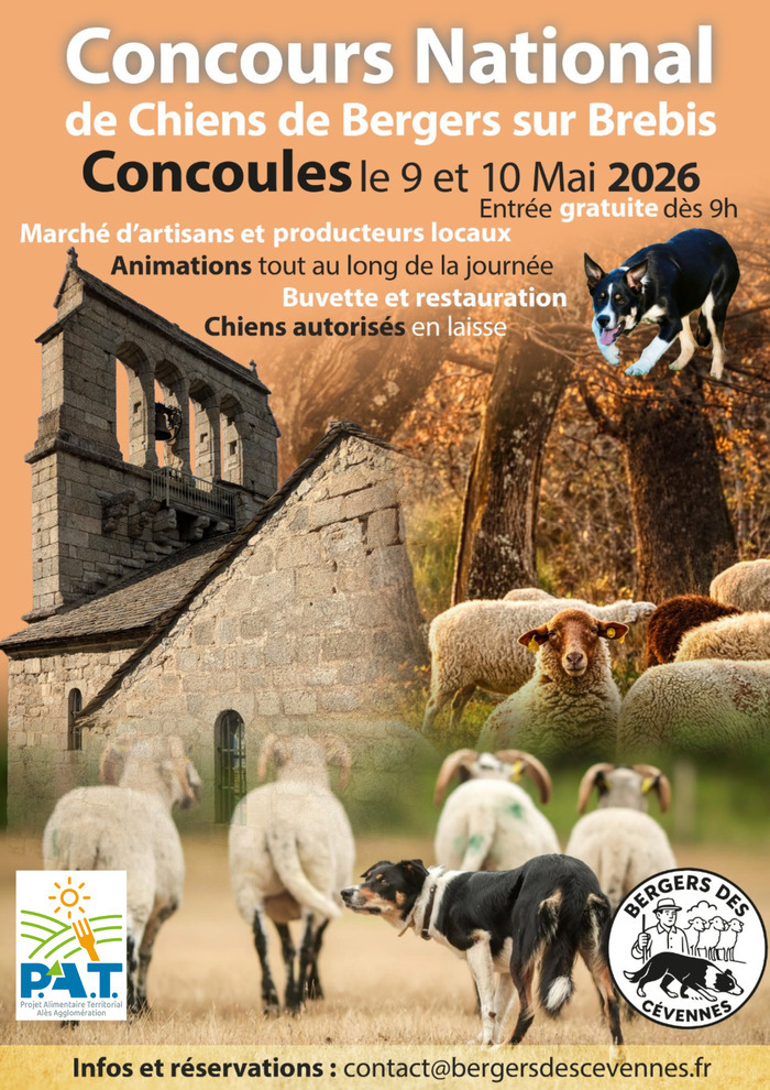 Concours National de Chiens de Bergers sur Brebis