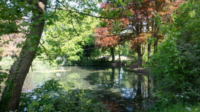 Des richesses dans un écrin de verdure