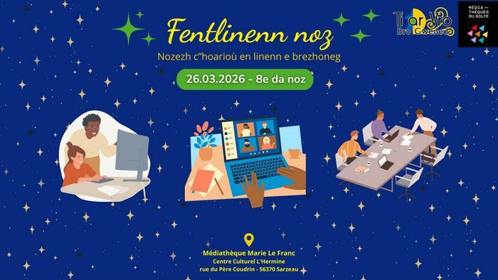 Soirée jeux vidéo en ligne et en breton