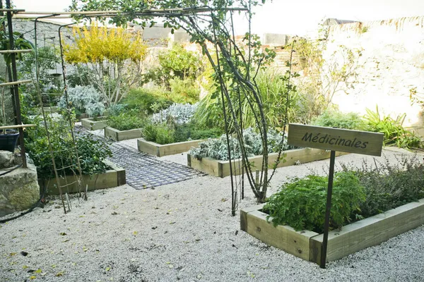 Visite du Jardin Botanique de Balaguier - Tamaris vu par George Sand.
Une sensibilité écologique et romantique