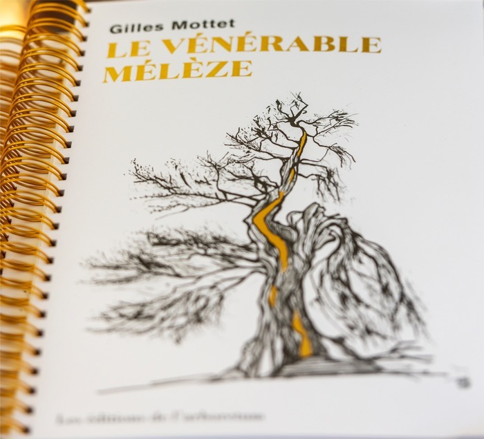 Parcours sensoriel & lecture à haute voix de l’ouvrage « Le Vénérable Mélèze » de Gilles Mottet, avec dédicace.