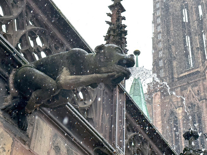 Regards croisés sur le grès de la cathédrale de Strasbourg