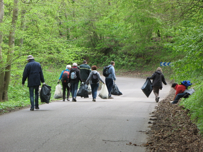 Opération forêts propres