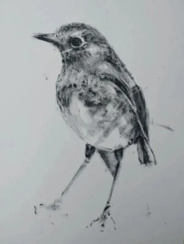 Atelier de découverte du dessin au fusain