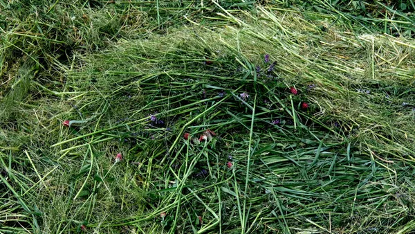 « Une Odyssée en terre agricole » de Damien Mousseau