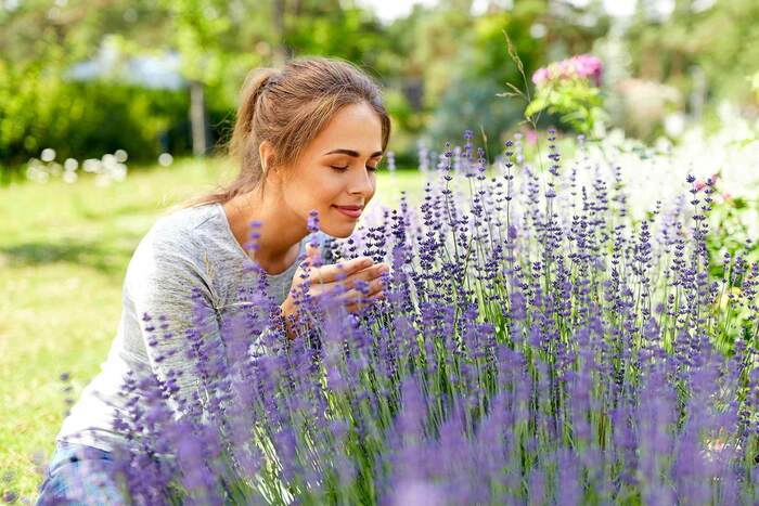 Transformer les plantes, et en langue des signes ?