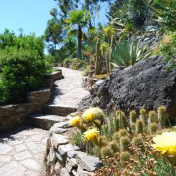 Visite du "Jardin Méditerranéen" et rencontre des artistes