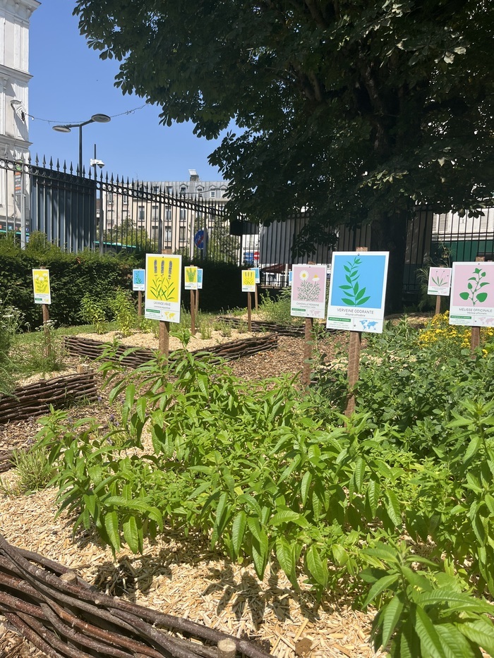 Visite-atelier Les plantes magiques