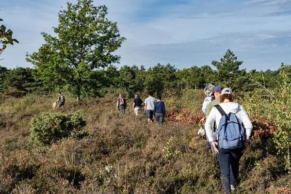 A la découverte des Pâtis du Mesnil