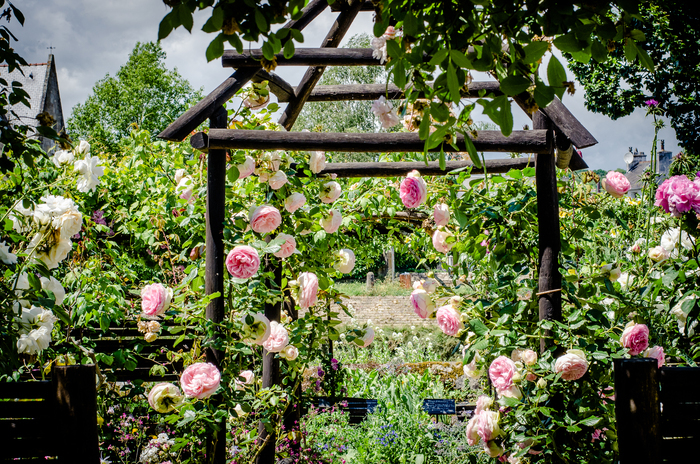 Un voyage au jardin d'Eden
