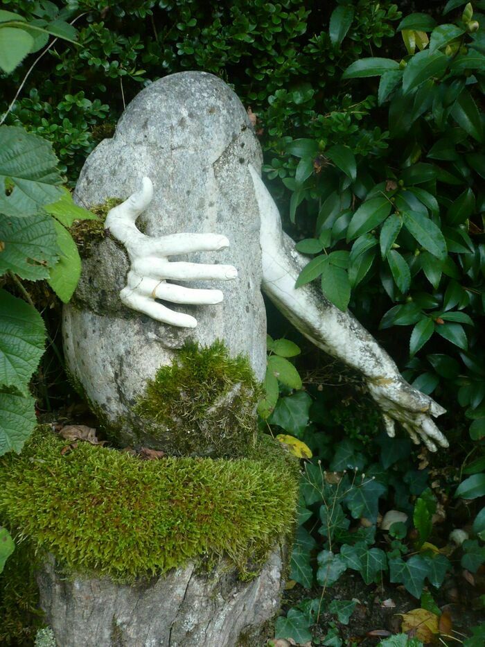 Visite découverte du jardin