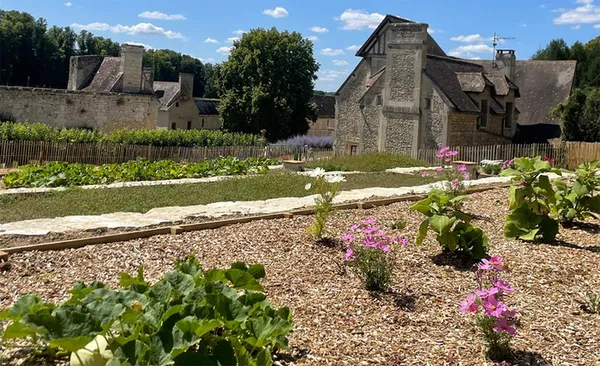 Visites du Potager conservatoire