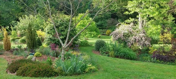 Découverte d'un jardin paysager