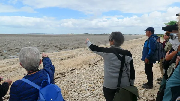 Point de vue sur les oiseaux