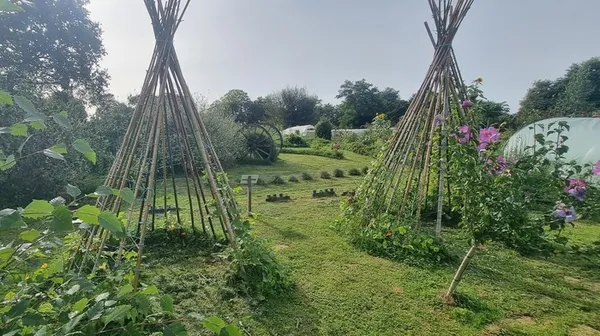 Visite libre : balade au jardin