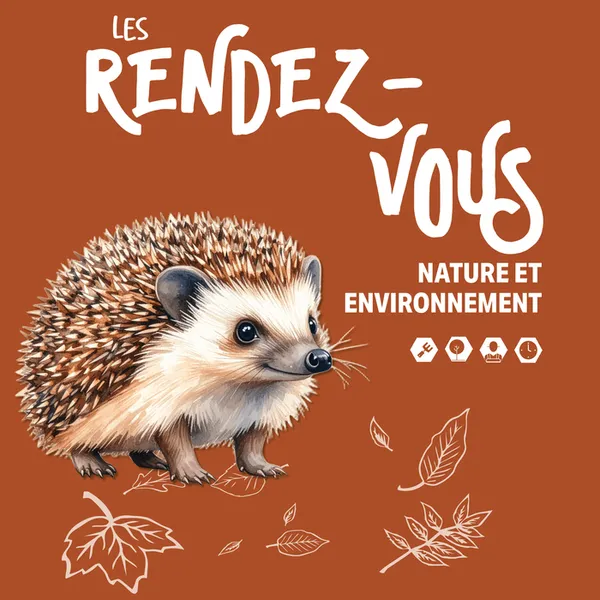 La vie du hérisson