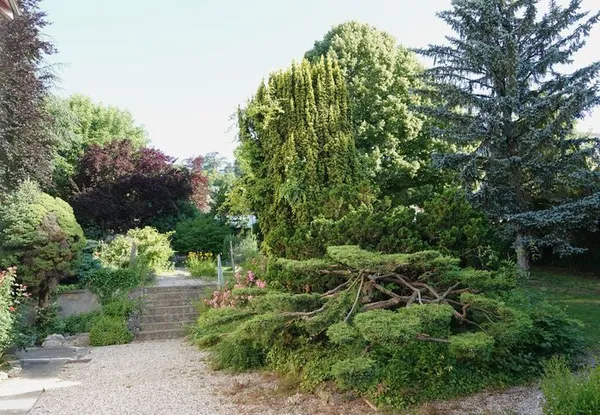 l'Oeil du botaniste