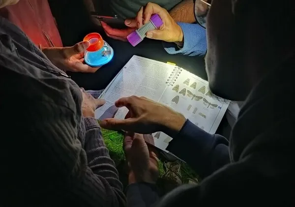 Ambiance crépusculaire et découverte des papillons de nuit