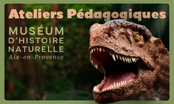 Programme des ateliers pédagogiquesdu Muséum d’Histoire Naturelle d'Aix-en-Provence - été 2026