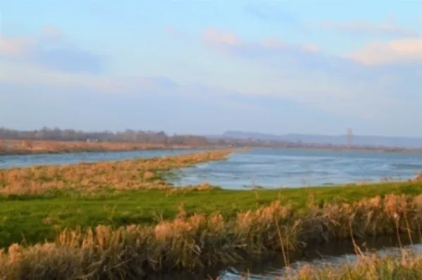 Levez les yeux ! Circuit "à la découverte des marais de la Dives"