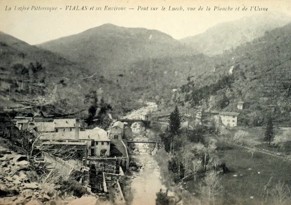 Inauguration du rayon "Filon des Anciens, histoire locale" à la médiathèque
