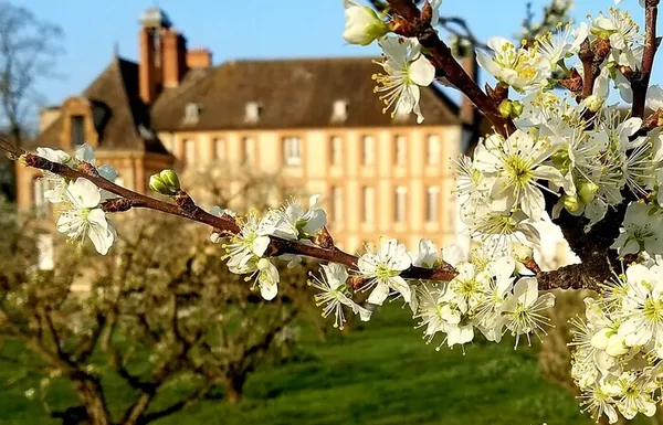 Visite nocturne des jardins et vergers