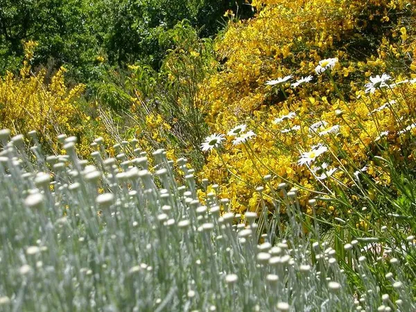 Visite découverte du jardin
