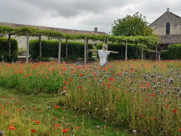 Couleurs au Jardin