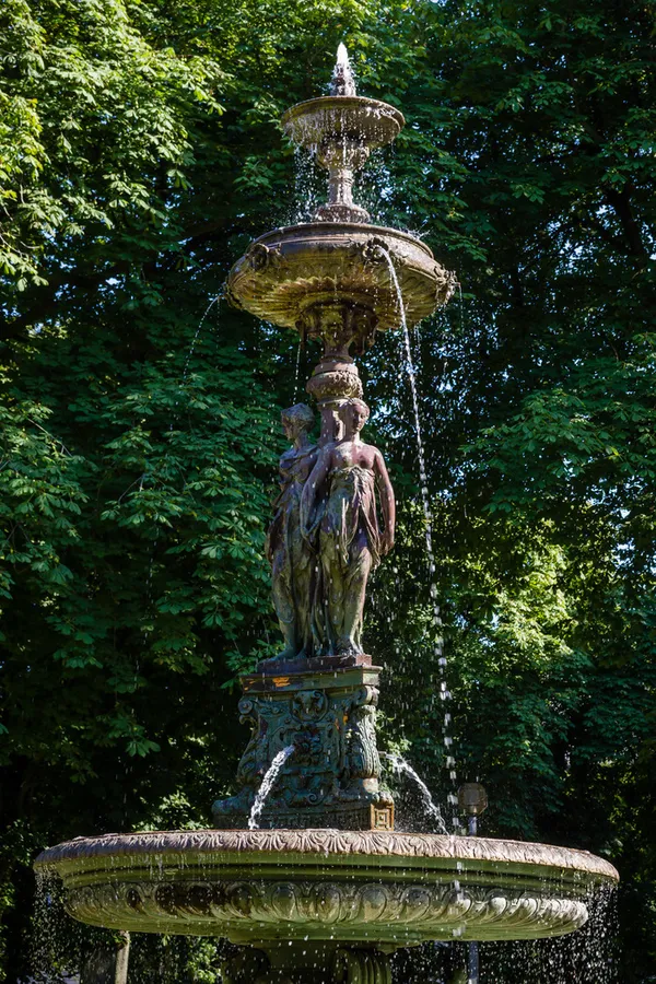 Les yeux grands ouverts au parc Saint-Pierre