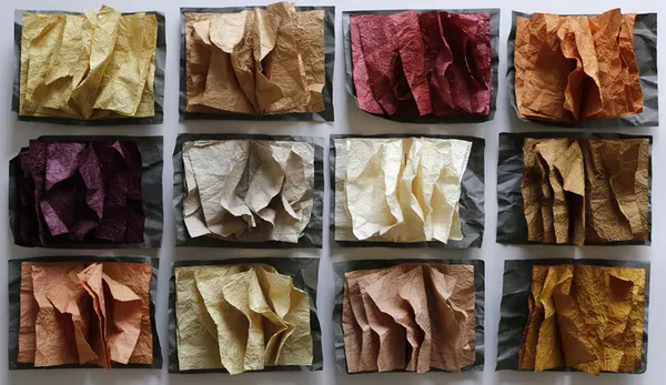 Couleurs sauvages