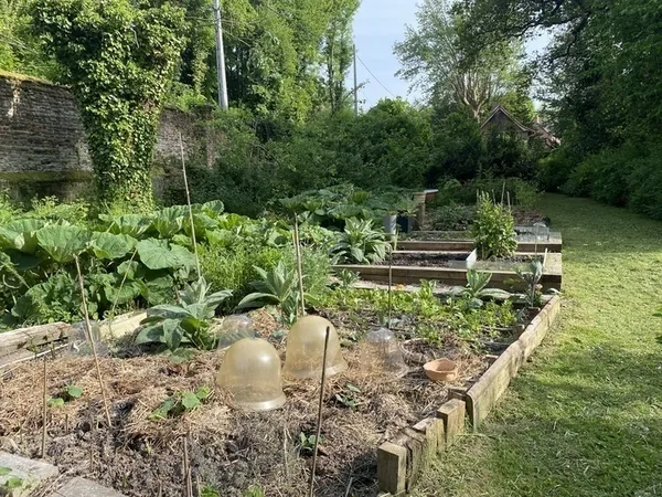 Visite d'un potager en permaculture du château de Rametz