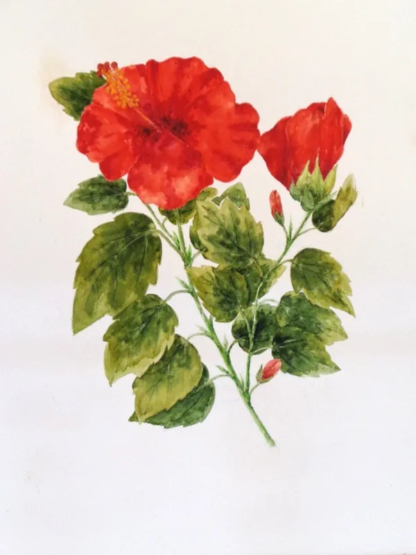 Jardin de Papier