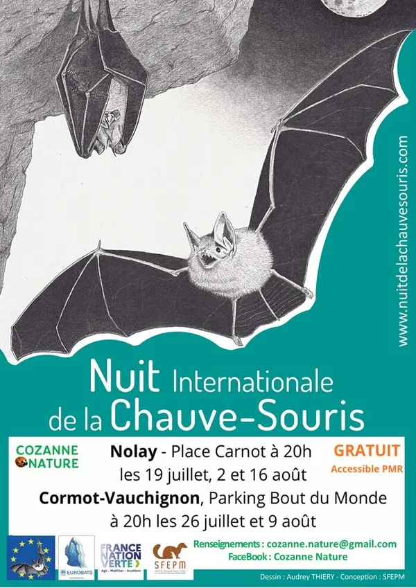 La vie des chauves-souris