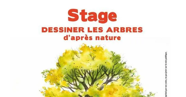 Stage de dessin