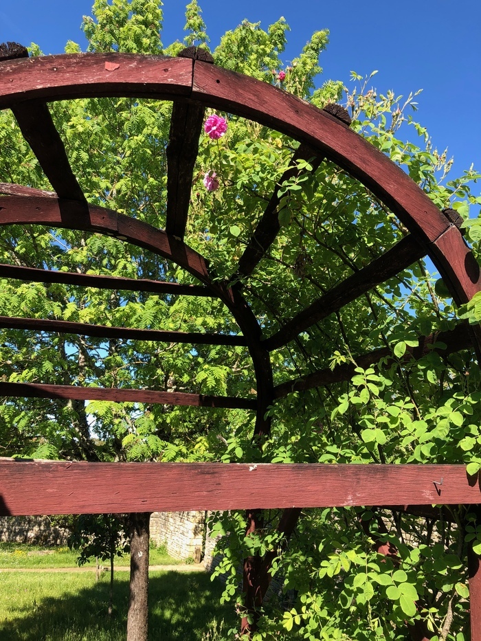 Découverte d'un jardin monastique médiéval