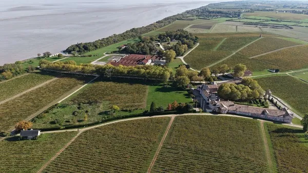 Vues remarquables du vignoble du Château Loudenne